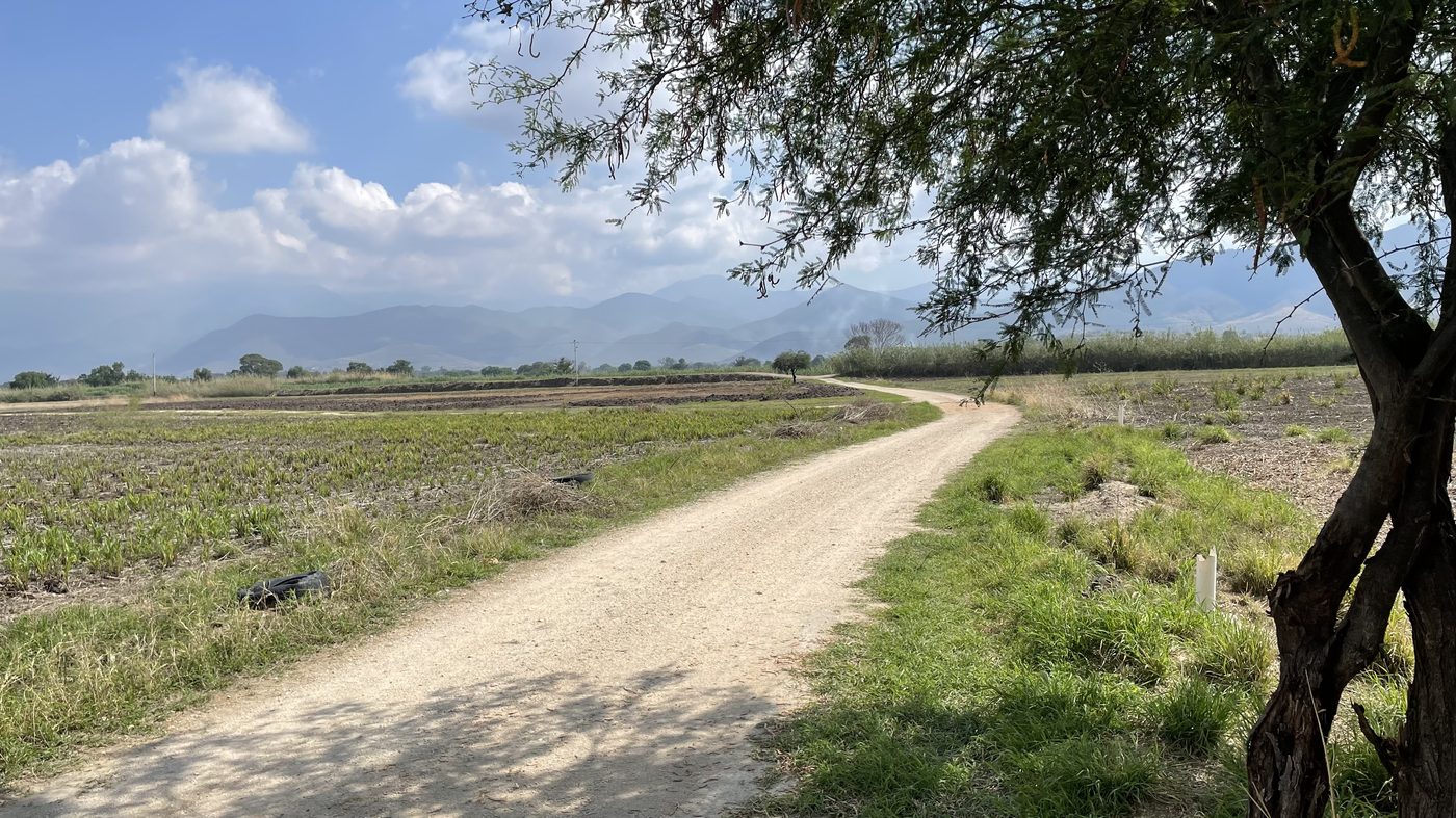 Vista al norte