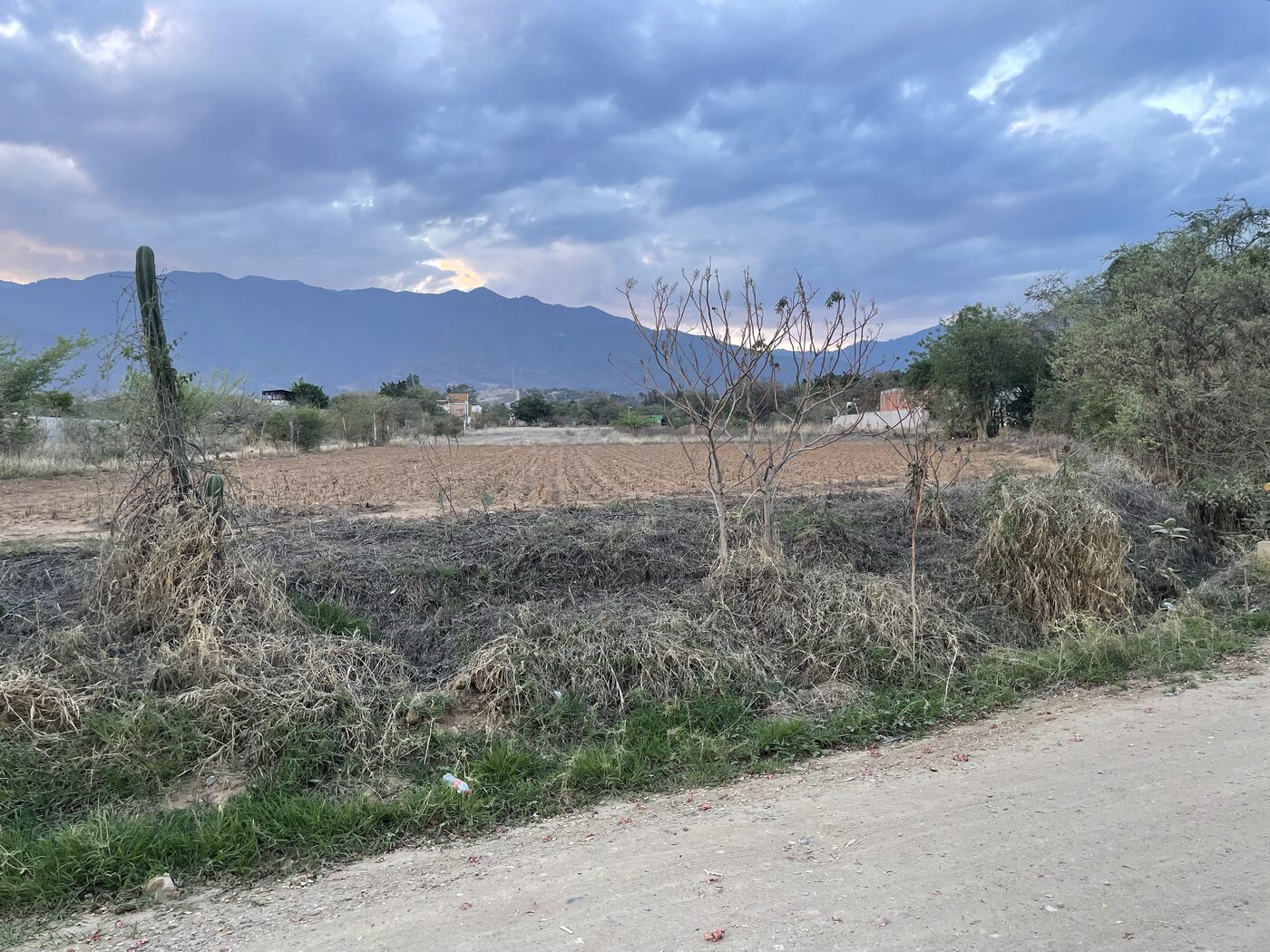 Gravel road through agave fields toward San Marcos Tlapazola